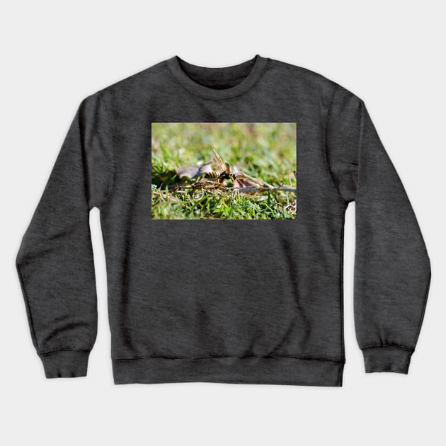 Wasp 1 Crewneck Sweatshirt by ArianeTorelli